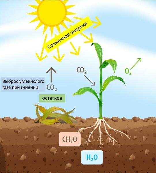 CO2-Plant_reference