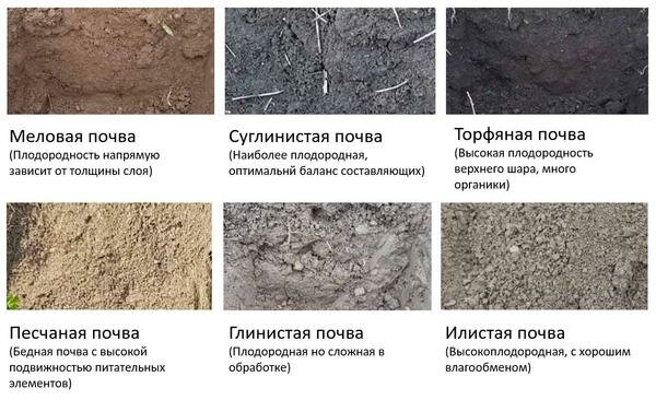 Soil-types-CO2-stotage_reference